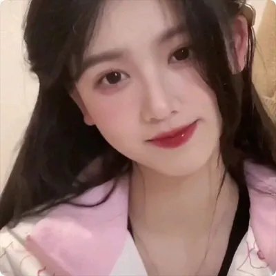 最后的兵团