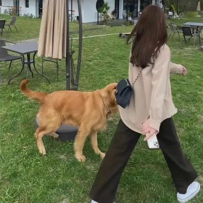 为父进行式